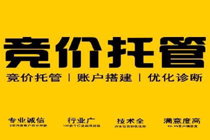 某知名品牌SEM推广的创意与效果